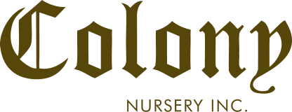 Colony Nursery Logo