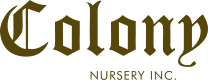 Colony Nursery Logo
